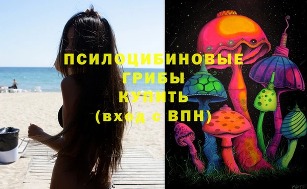 шишки Алексин