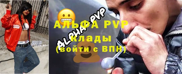 шишки Алексин