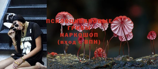 кокаин Алексеевка