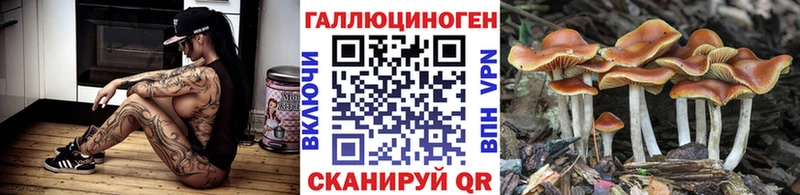 купить наркотики цена  Аткарск  Псилоцибиновые грибы Psilocybe 